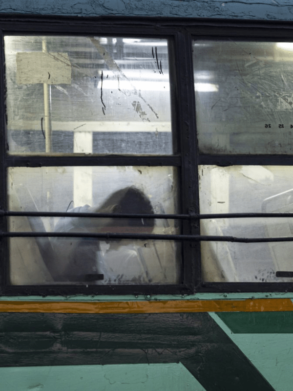 Jenny Chan interviewed for Rest of World (28 Nov&nbsp;2023)